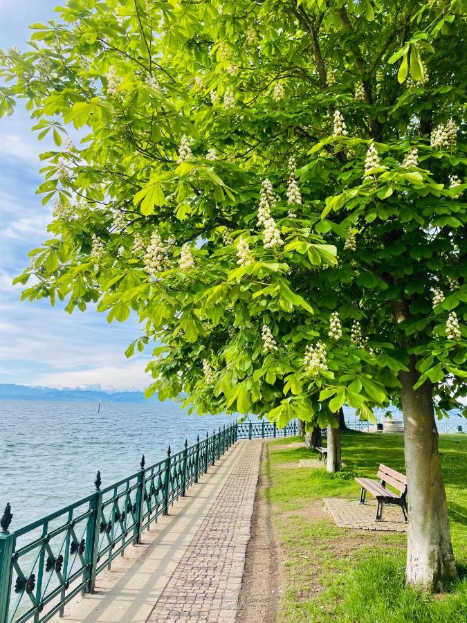 " Sunshine Am See " Friedrichshafen Ngoại thất bức ảnh