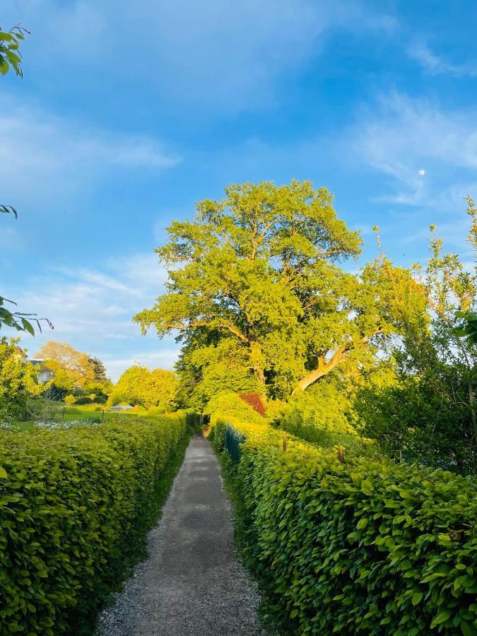 " Sunshine Am See " Friedrichshafen Ngoại thất bức ảnh